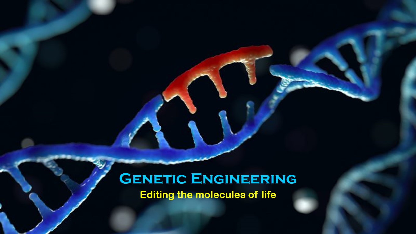 Department of Genetic Engineering and Biotechnology